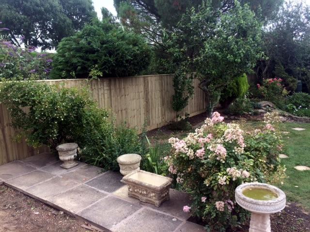 Finished fence in Wantage garden